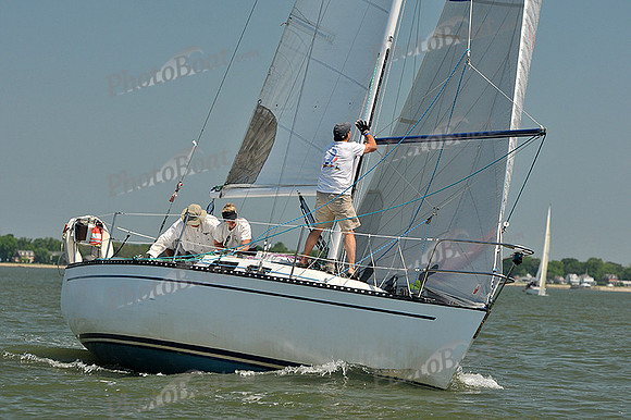 2013 Southern Bay Race Week A 242