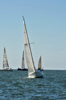 2010 Leukemia Cup 300