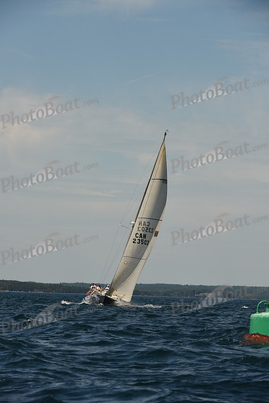 2016 Chester Race Week A_0659