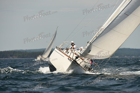 2016 Chester Race Week A_0829