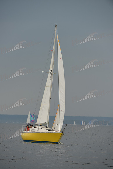 2016 Chester Race Week D_0677