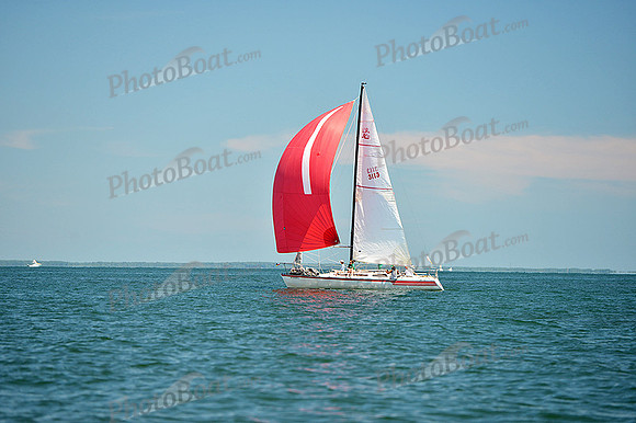 2015 Cape Charles Cup A 778