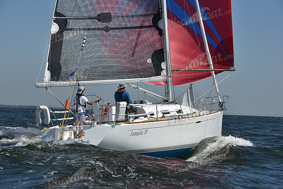 2019 Vineyard Race A_0823