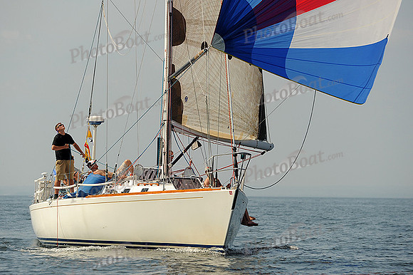 2013 Vineyard Race A 1938