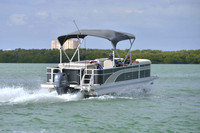 2019 Feb 10 Tampa Bay B_0415