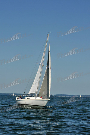 2010 Leukemia Cup B 384