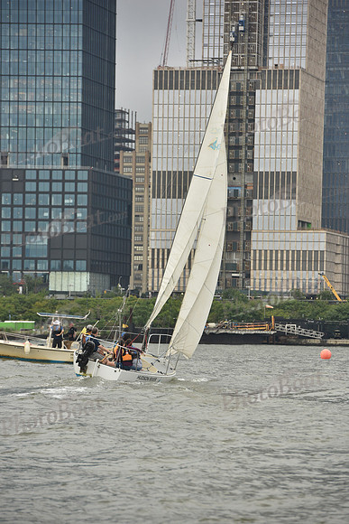 2018 NY Architects Regatta A_0091