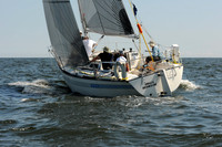 2011 Vineyard Race A 375