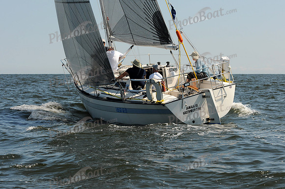 2011 Vineyard Race A 375