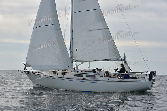 2019 Around Marthas Vineyard A_0171