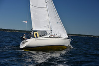 2022 Vineyard Race A_0242