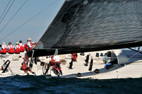 2012 Newport Bermuda 1313