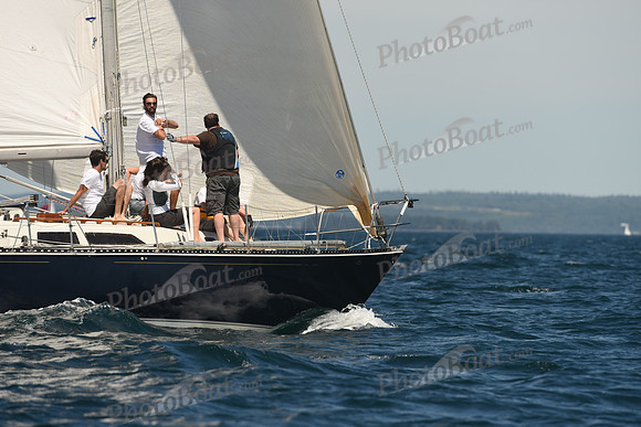 2016 Chester Race Week A_0677