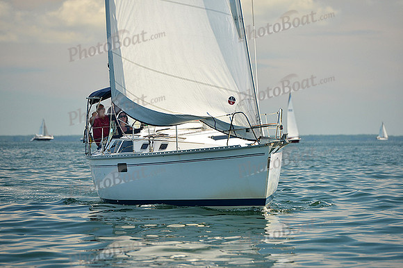 2015 Cape Charles Cup C 494