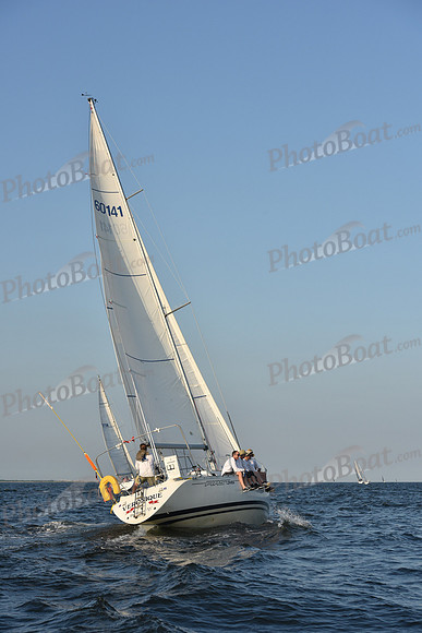 2019 ALIR_2628