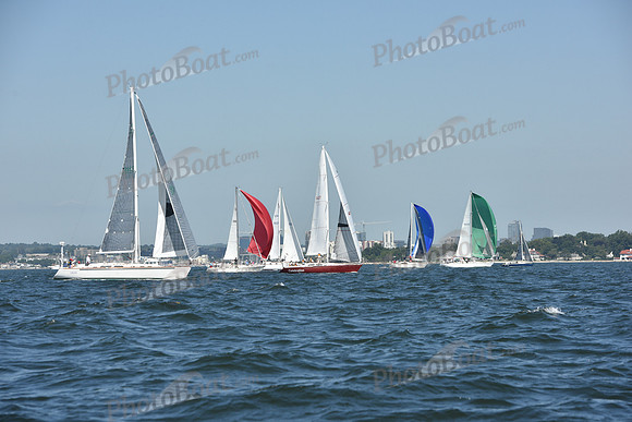 2019 Vineyard Race A_0195