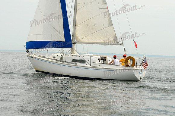 2011 Park City Regatta A 1178