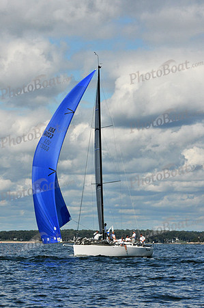 2010 IRC LIS 1490