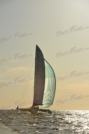 2015 Vineyard Race C 767