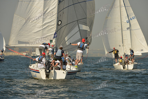 2015 NY Architects Regatta A 435