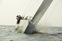 2015 Vineyard Race B 541