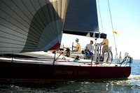 2014 Vineyard Race A 1875