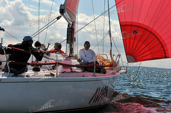 2010 IRC LIS 1335