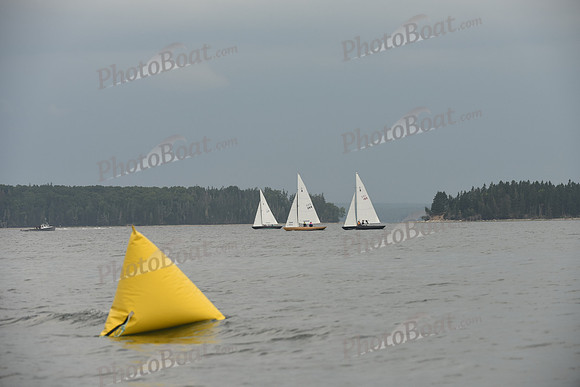 2016 Chester Race Week D_0899