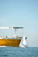 Bay Dreamer