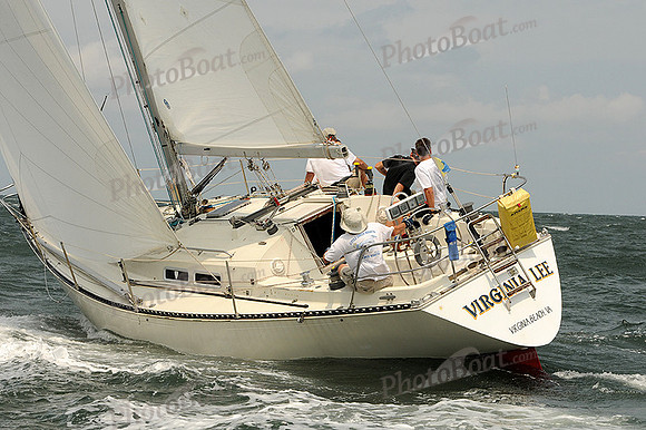 2012 Cape Charles Cup A 1364