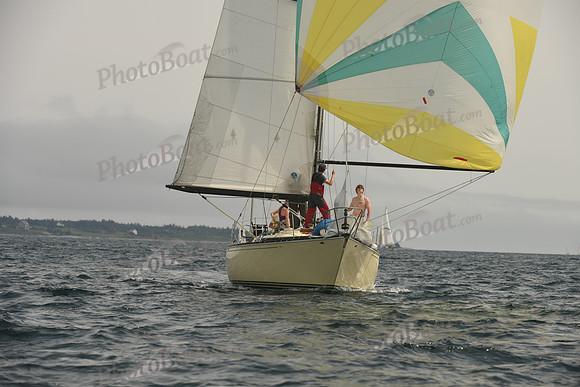 2016 Chester Race Week C_1701