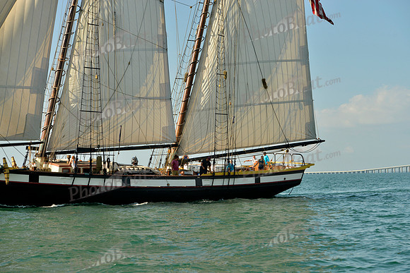 2017 St Petersburg Habana Race_1819