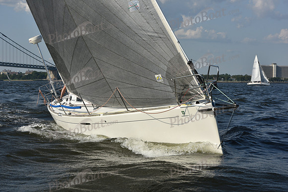 2019 ALIR_1316