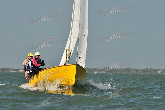 2012 Thistle Midwinters C 305