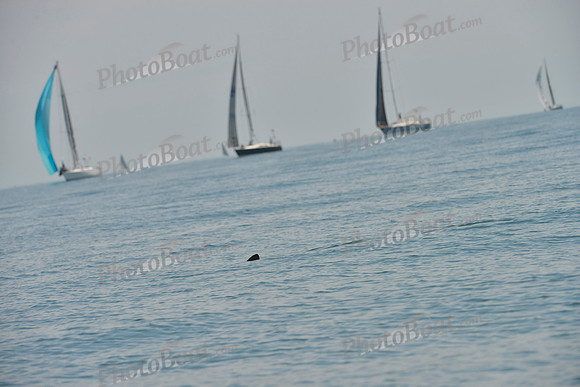 2019 Around Marthas Vineyard B_0219