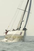 2015 Vineyard Race B 144