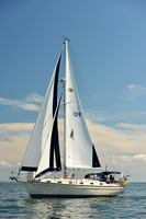 2015 Cape Charles Cup C 216