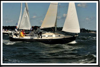 proof_2010_Vineyard_Race_0086