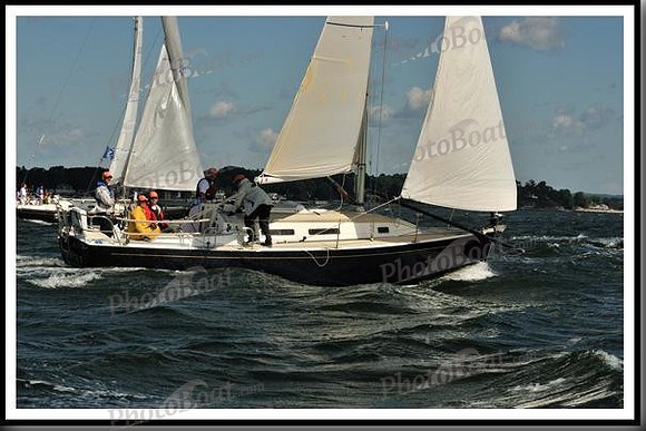 proof_2010_Vineyard_Race_0086