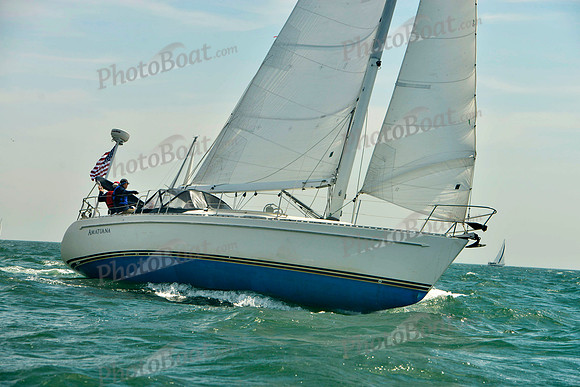 2018 Figawi_1443
