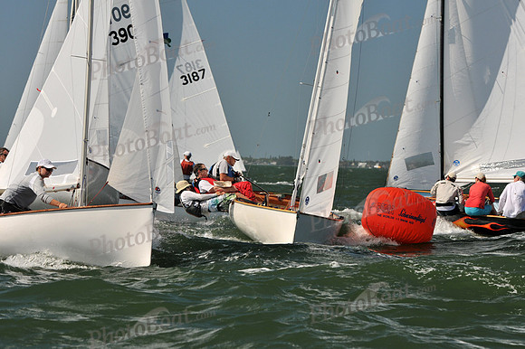 2012 Thistle Midwinters C 086