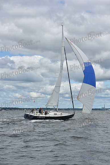 2021 Vineyard Race A 0832