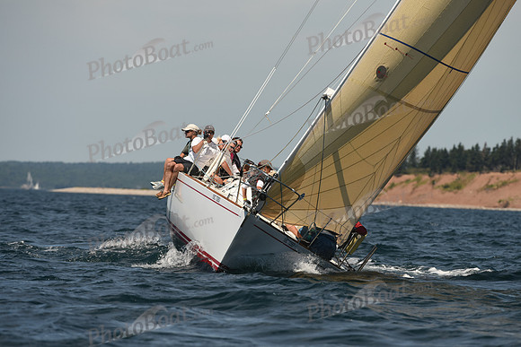 2016 Chester Race Week A_0294