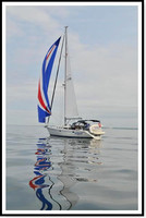 proof_2010 Block Island Race 081