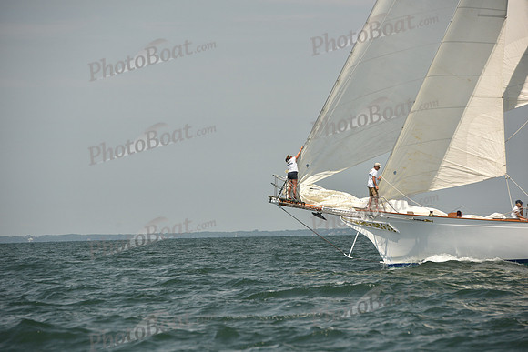 2018 Vineyard Cup A_1252
