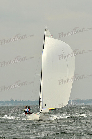2012 HPDO A 1773