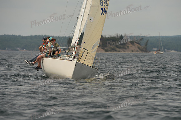 2016 Chester Race Week C_0930