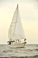 2017 Vineyard Race B_0278