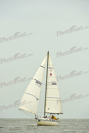 2015 Charleston Race Week E 1376