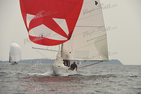 2016 Chester Race Week D_0411
